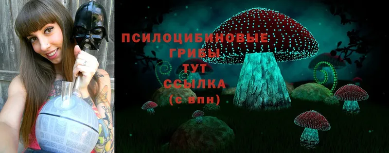 Галлюциногенные грибы Psilocybe  Абдулино 